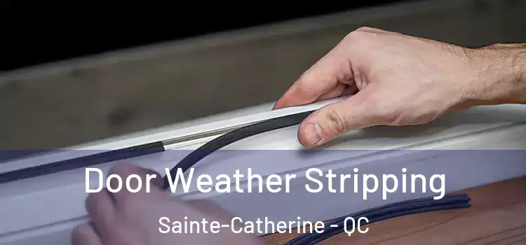 Door Weather Stripping Sainte-Catherine - QC