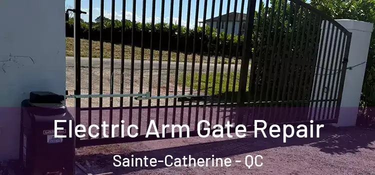 Electric Arm Gate Repair Sainte-Catherine - QC
