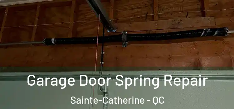  Garage Door Spring Repair Sainte-Catherine - QC