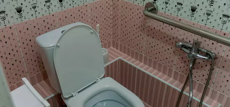 Meeting Diverse Needs With Accessible Restroom Solutions in Sainte-Catherine, QC