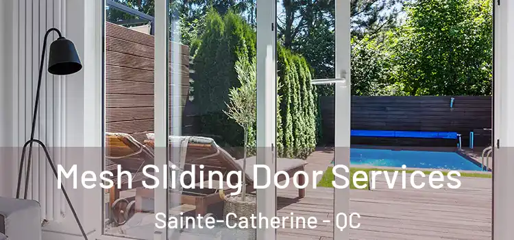  Mesh Sliding Door Services Sainte-Catherine - QC